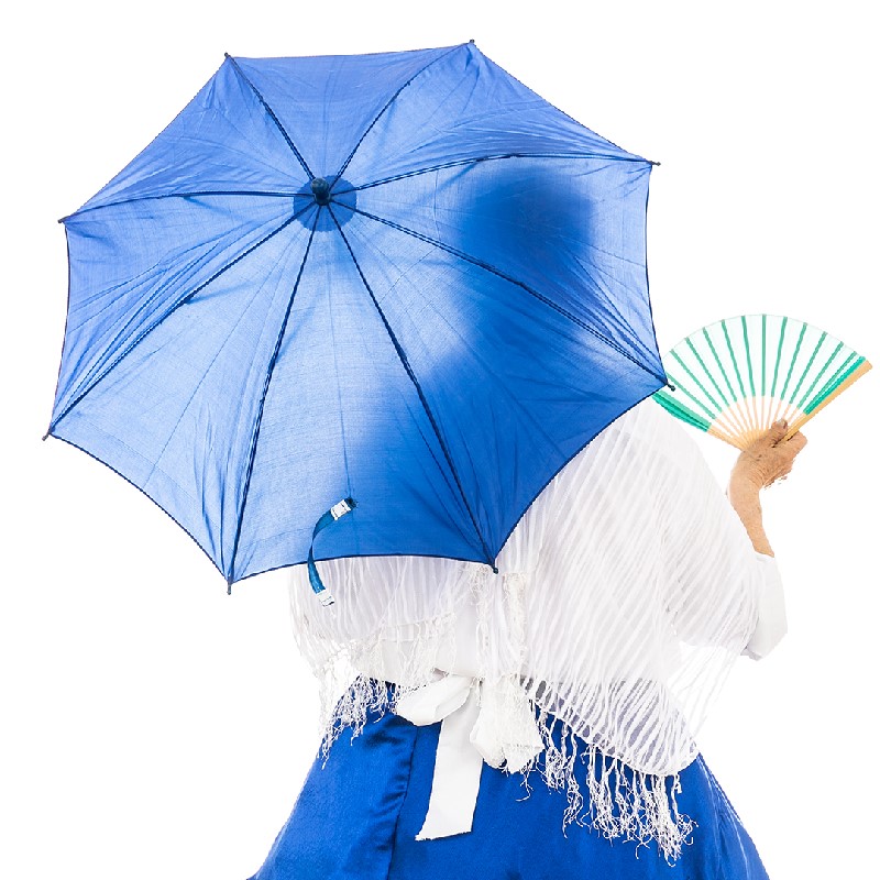 A closer view of the Parasol accessory from the Mama Vieja costume